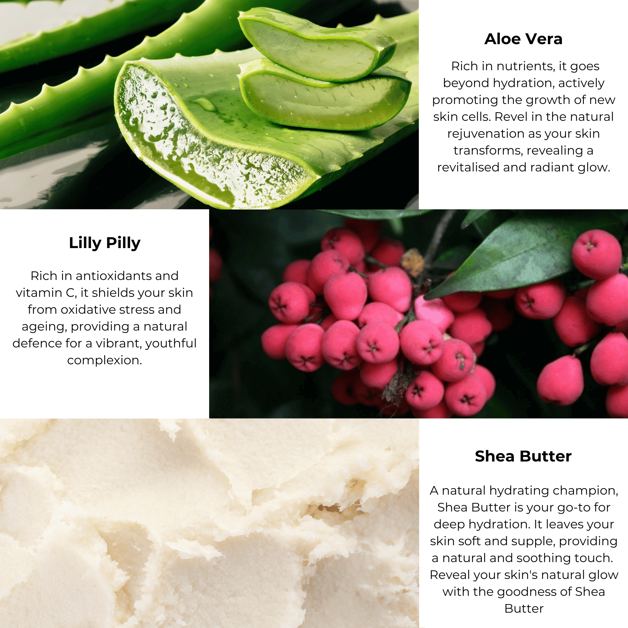 A collage features three elements: a close-up of sliced aloe vera complementing Merindah Botanicals&