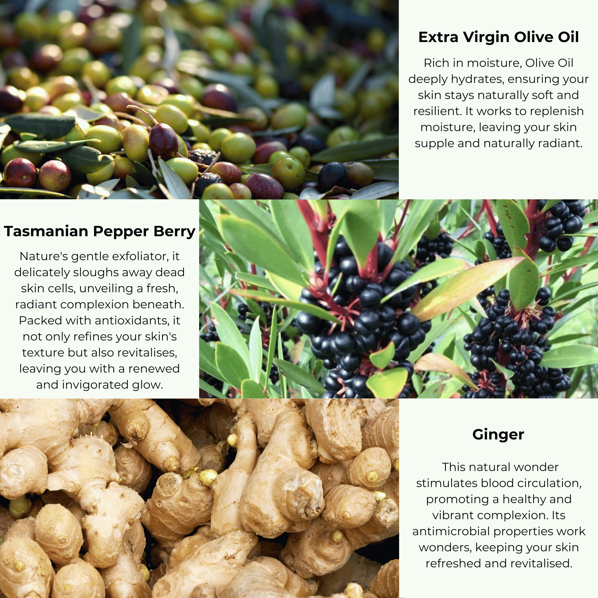 A collage of three images: olives accompanied by text describing the benefits of Merindah Botanicals&