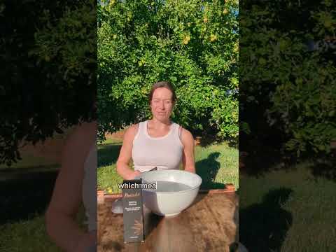 Daily skincare routine using Uplifting Cleanser with Purifying Konjac Sponge