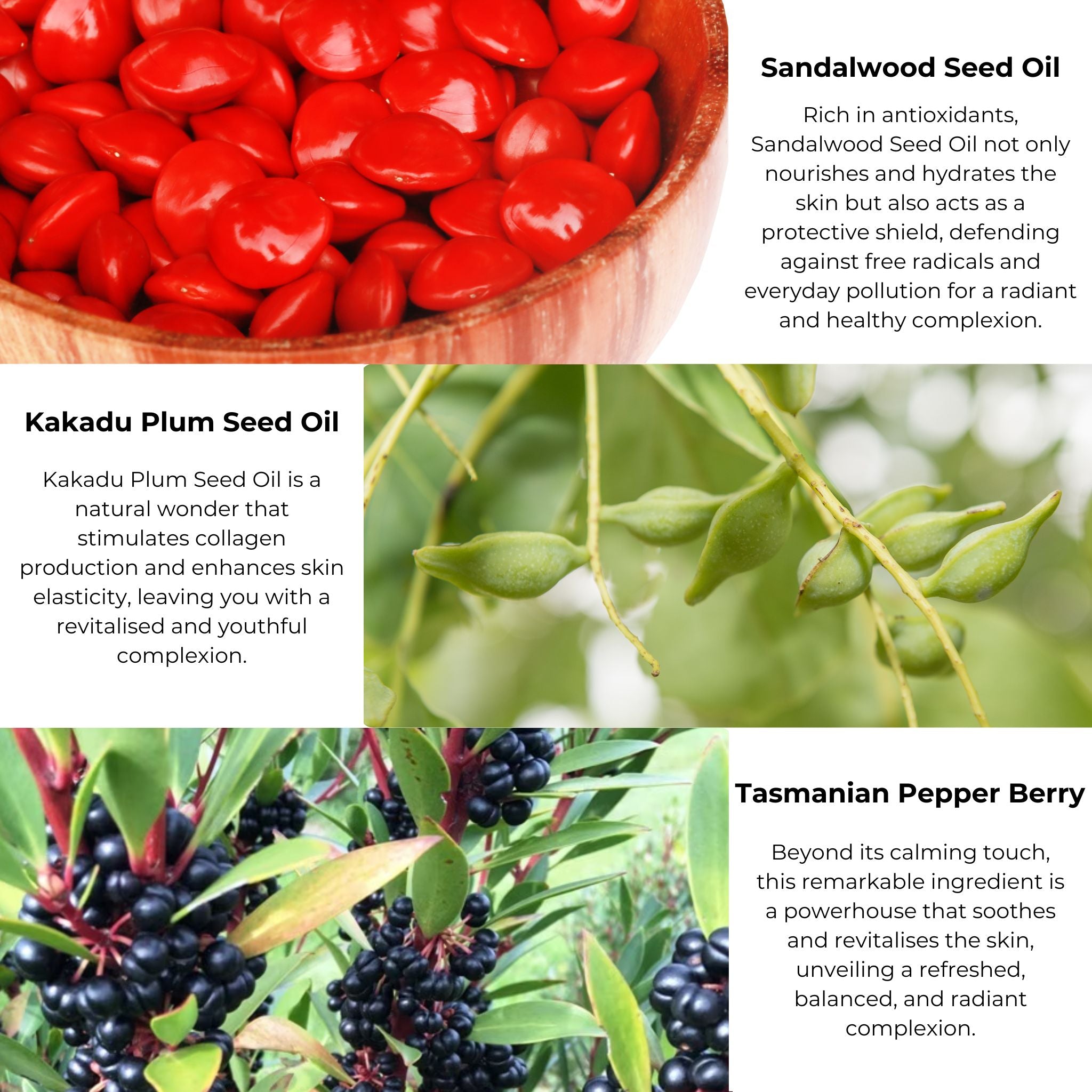 a photo collage highlighting the key ingredients and skin benefits of Merindah Botanicals Luxurious Face Cream
