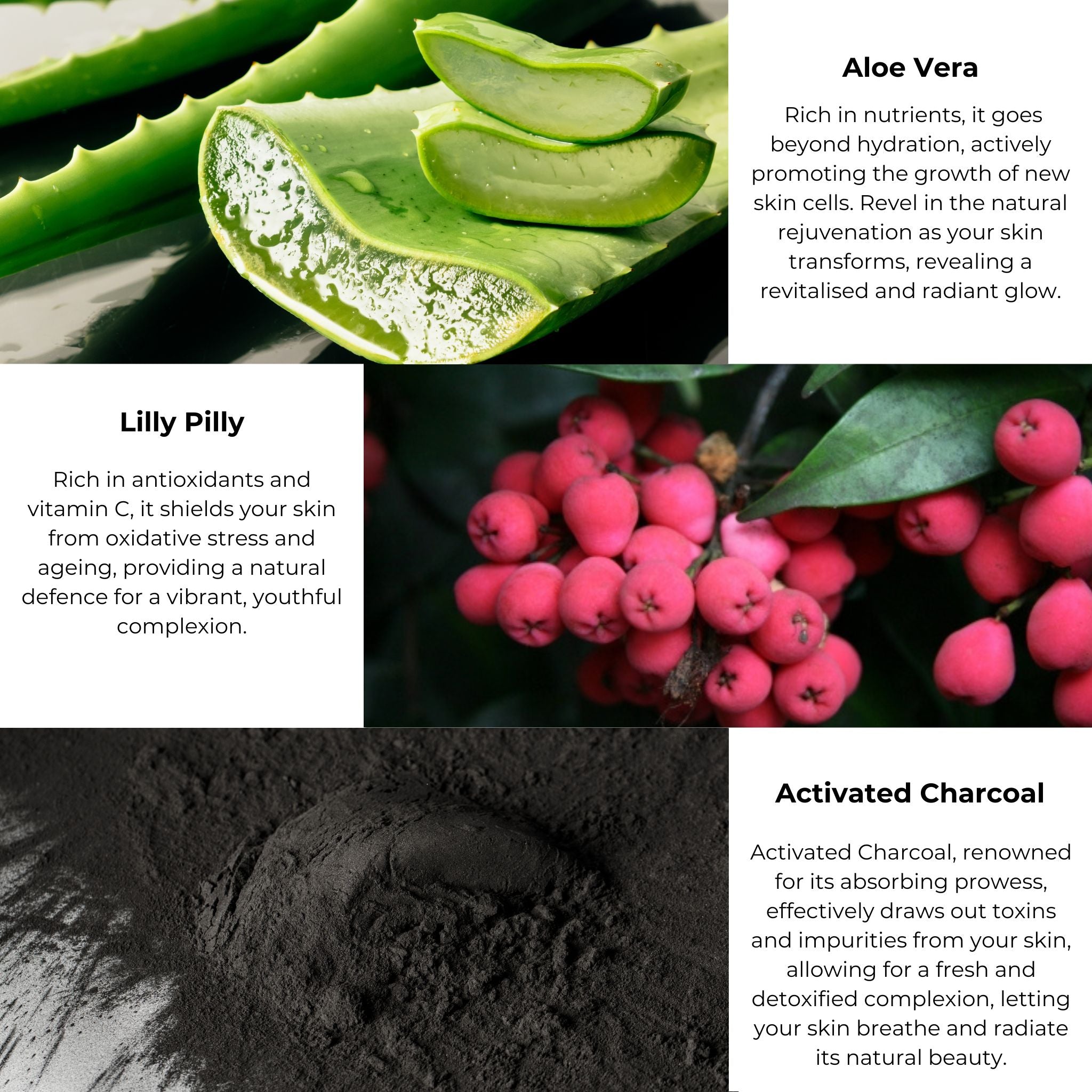 Natural cleanser with botanicals – Uplifting Cleanser ingredients Aloe Vera, Lilly Pilly, and Activated Charcoal for sensitive skin care